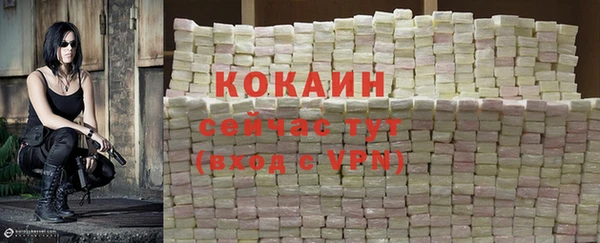 круглые Магас