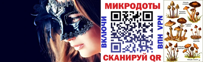 Купить где  Пушкино  Псилоцибиновые грибы GOLDEN TEACHER 