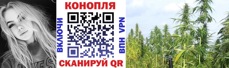 Каннабис гибрид Пушкино